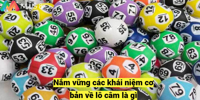 Nắm vững các khái niệm cơ bản về lô câm là gì?